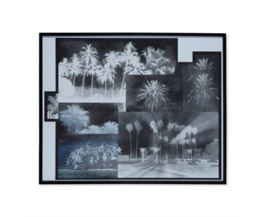 Diamond Dusted Palm Trees